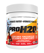 Load image into Gallery viewer, PVL ProH2O Peach Mango 255g