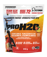 Load image into Gallery viewer, PVL ProH2O Peach Mango 612g