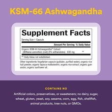 Load image into Gallery viewer, Natural Factors Ashwagandha 600mg 30vcap