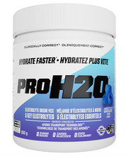 Load image into Gallery viewer, PVL Pro H2O Electrolyte Powder Arctic Breeze 255g