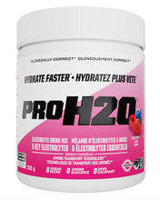 Load image into Gallery viewer, PVL Pro H2O Electrolyte Powder Berry Blast 255g