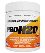 Load image into Gallery viewer, PVL Pro H2O Electrolyte Powder Orange Krush'd 255g