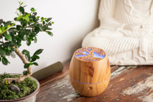 Load image into Gallery viewer, Le Comptoir Aroma Provence Ultrasonic Mist Diffuser for Essential Oils